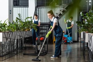 House Cleaners