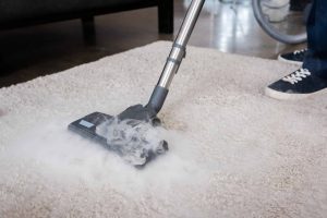 What Settles Into Carpet Pile Between Cleans