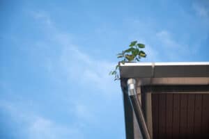 gutters