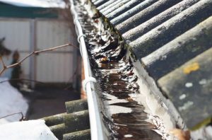 Ladder Safety and Footing on Uneven Ground