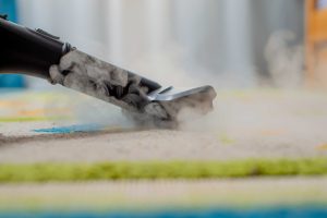 Drying Time: The Real Difference Between Carpet Methods